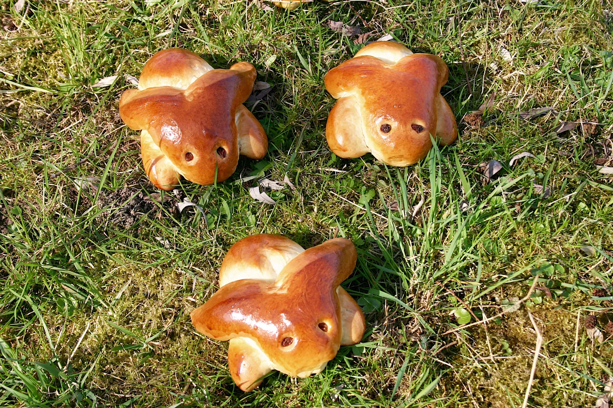 Hefe-Psterhasen